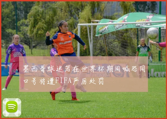 墨西哥球迷若在世界杯期间喊恐同口号将遭FIFA严厉处罚